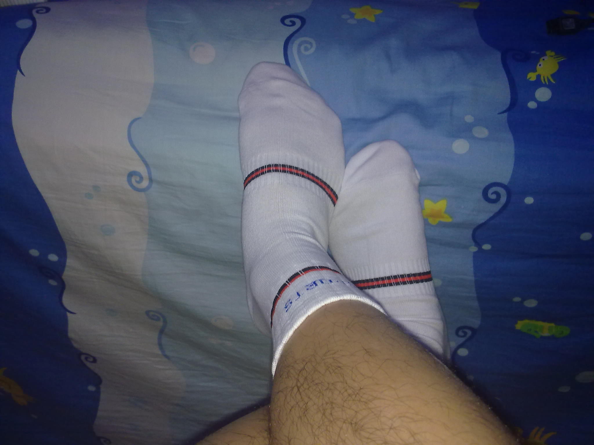 11102011160.jpg