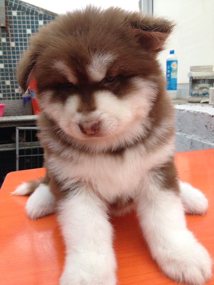 QQͼƬ20140215165933.jpg