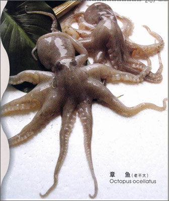 ??1