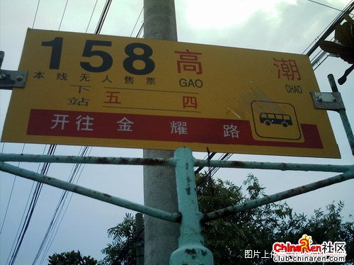 647.jpg