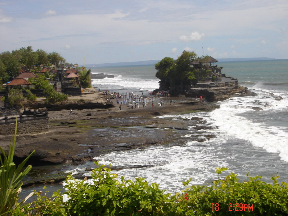 DSC02869.jpg