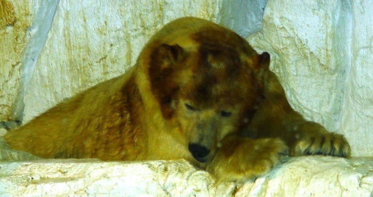 DSC00081.JPG