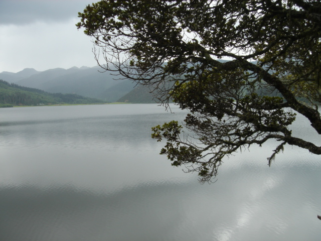 DSC00076.JPG