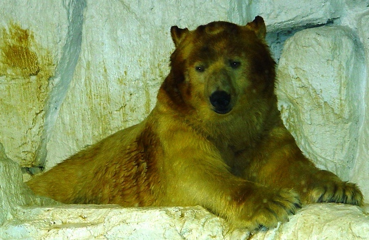 DSC00082.JPG