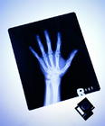 u=845929241,1940900847&gp=20.jpg