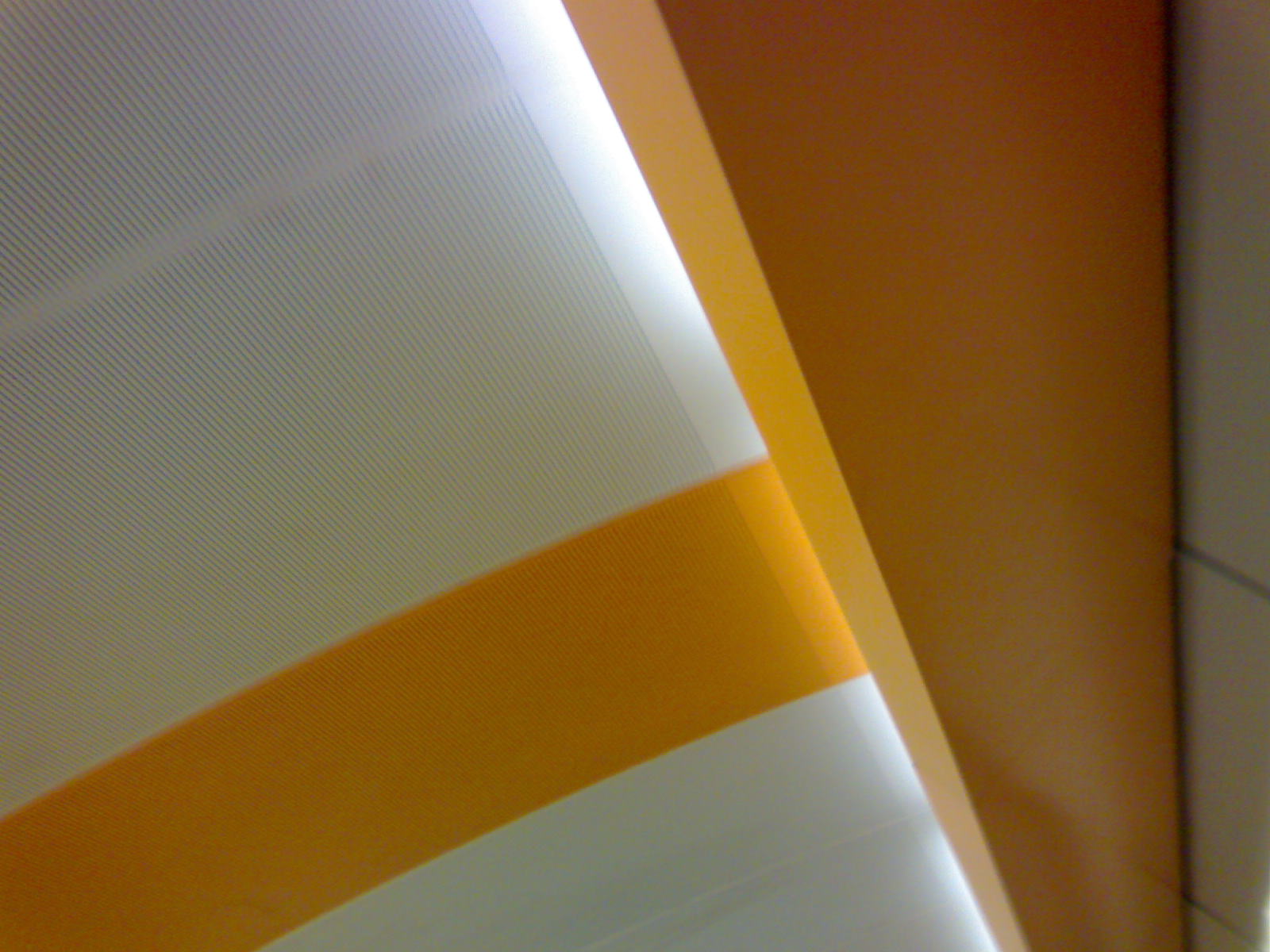 DSC00006.JPG