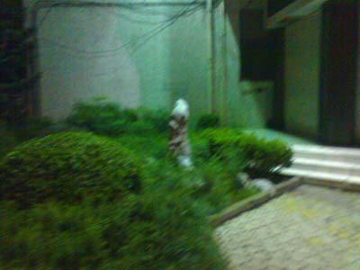 DSC00012.JPG