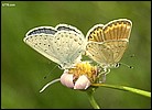tn004.jpg