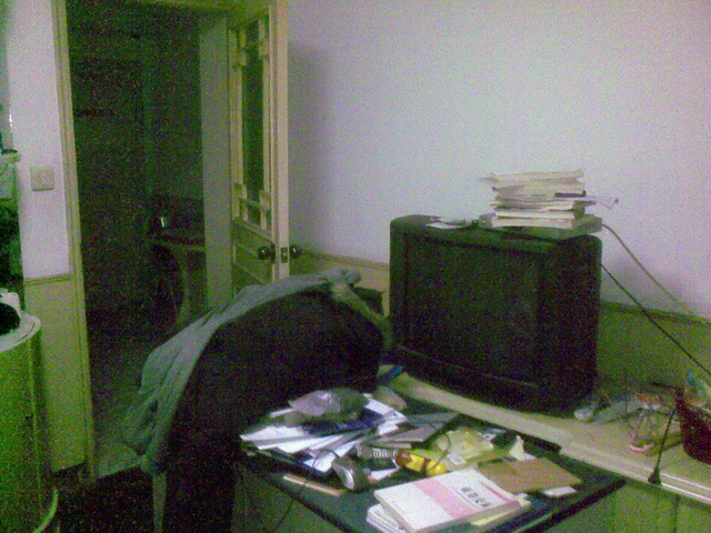 20110110124.jpg