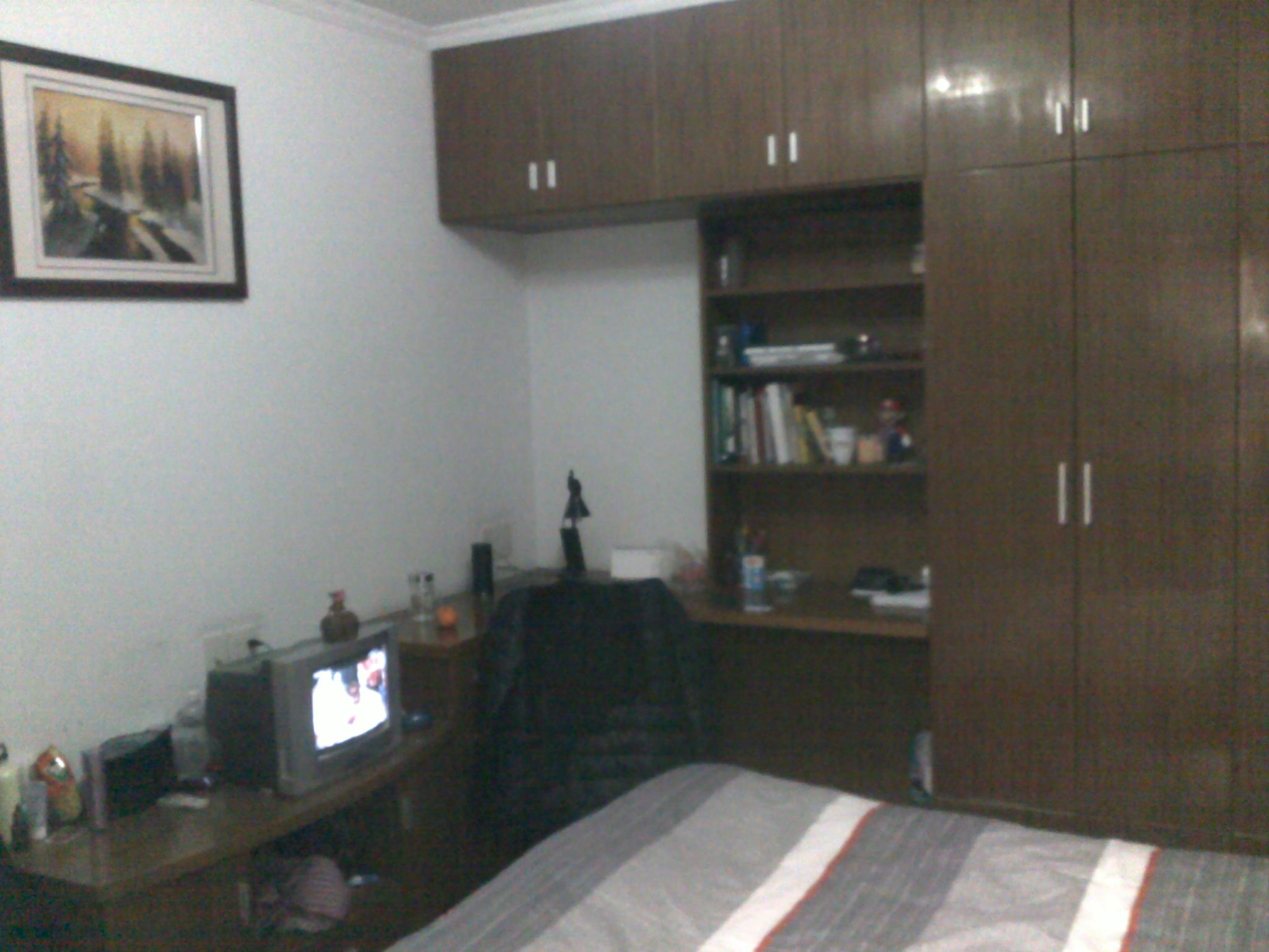 20110223113.jpg