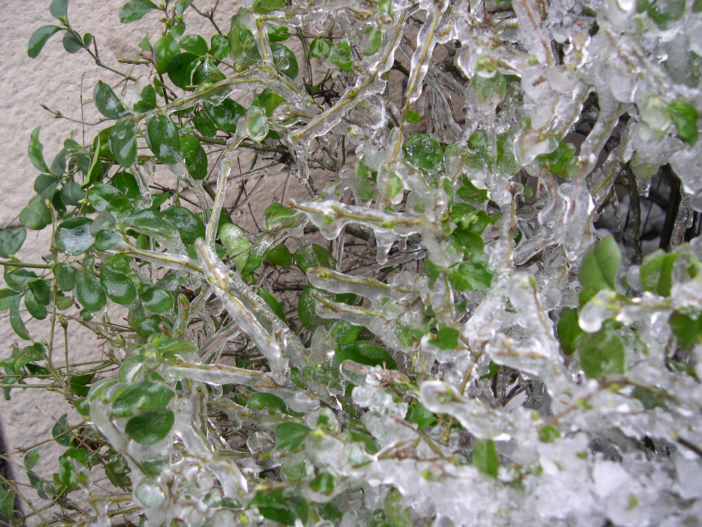 DSCN3088.JPG