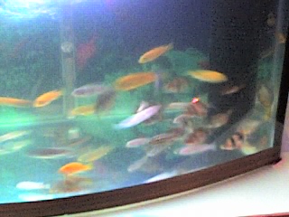 02-01-07_1536.jpg