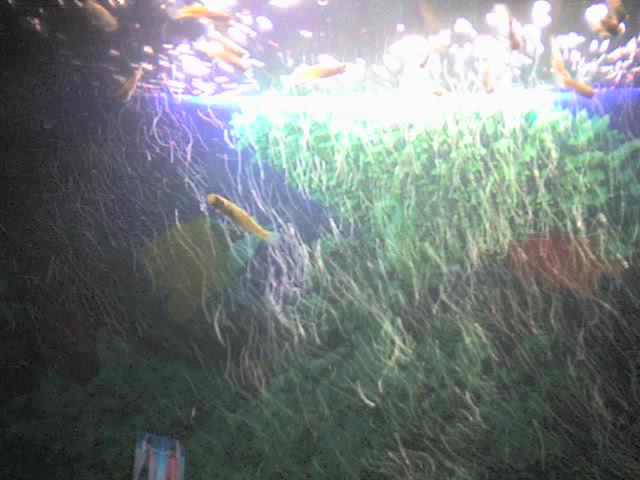 13-12-06_2158.jpg