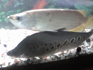 13-12-06_2153.jpg