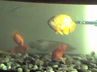 01-12-06_2207.jpg
