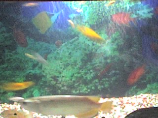 13-12-06_2154.jpg
