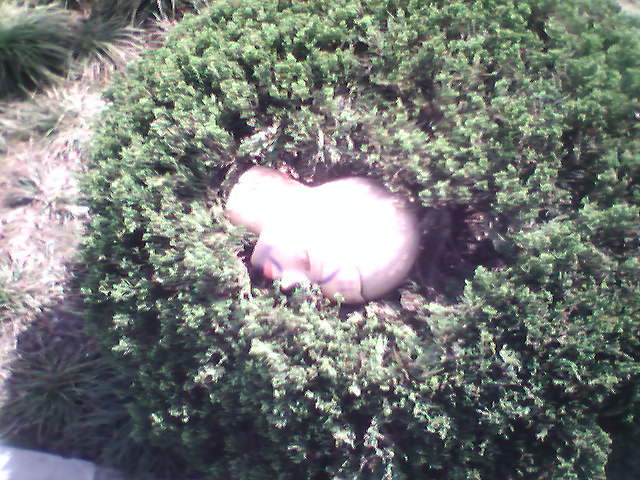 IMG0658A.jpg