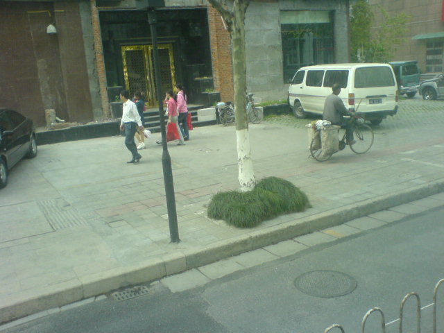 DSC00135.JPG