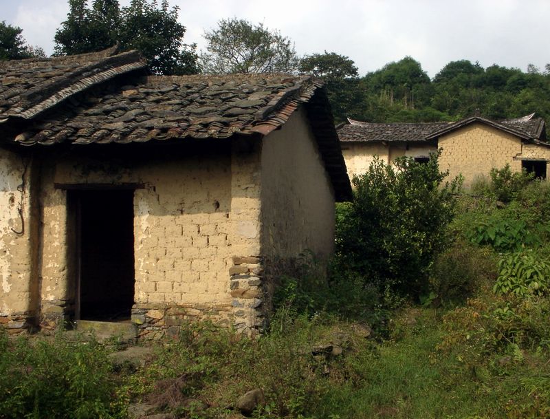 77.jpg