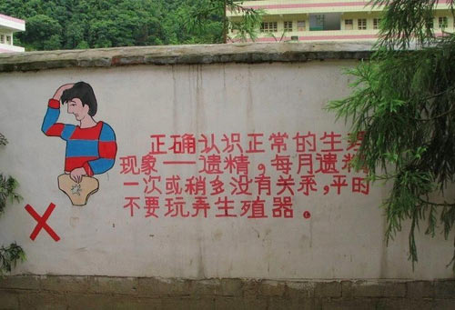 3856322.jpg