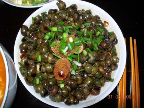 luosi.jpg