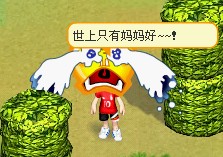 ff.JPG
