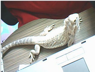 20070423_0e0e0ee2ee1aeaf01defacvfmKSJFlq2.jpg