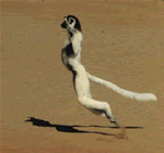 huhou_title.gif