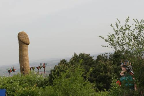 4197129.jpg