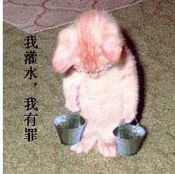 BFBD4B5C2B3E284E2BED6E1D0A1A90C6.JPG