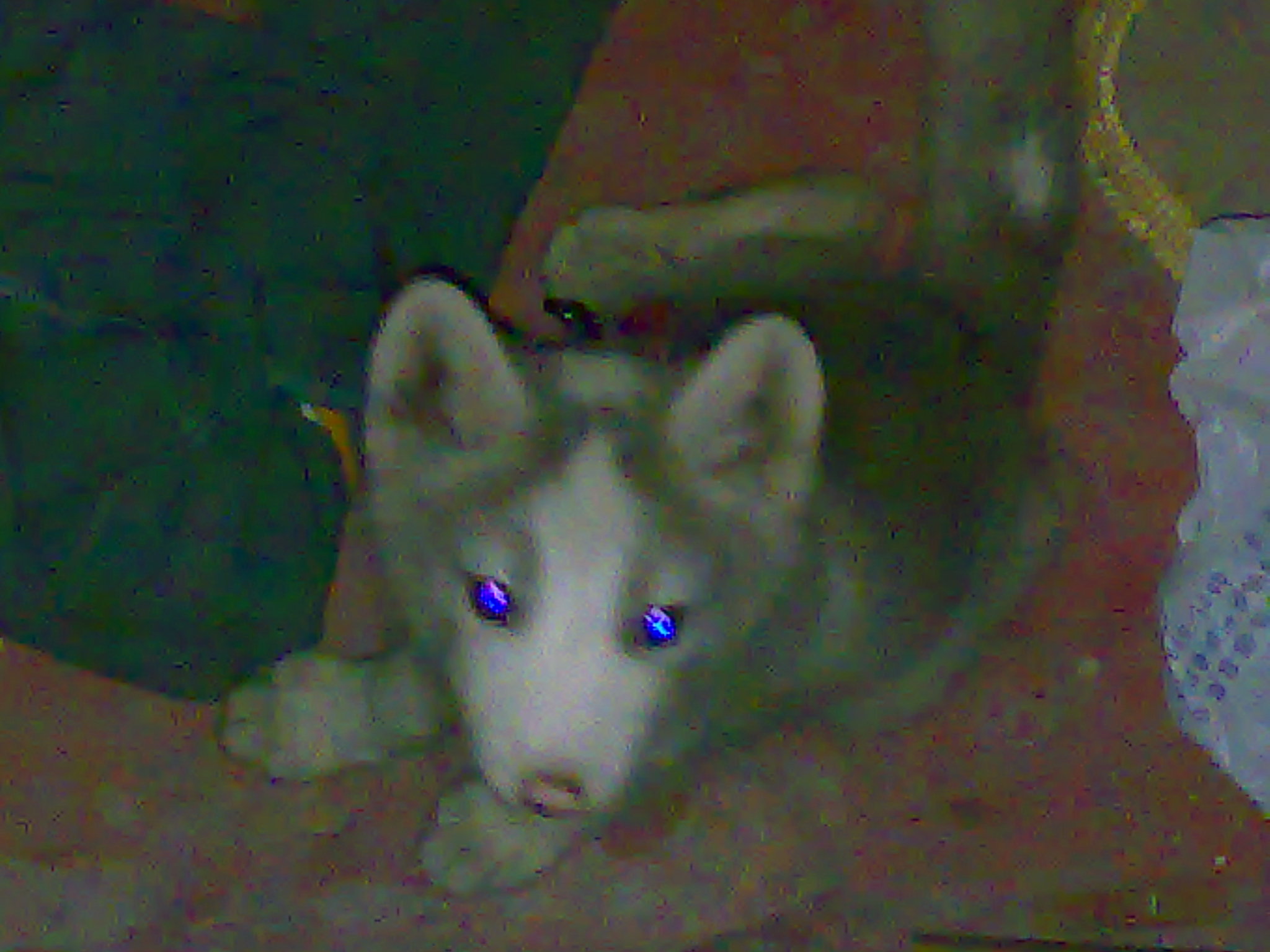 20070614350.jpg