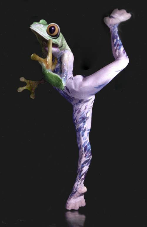 151909_999586875_oyphimod.jpg