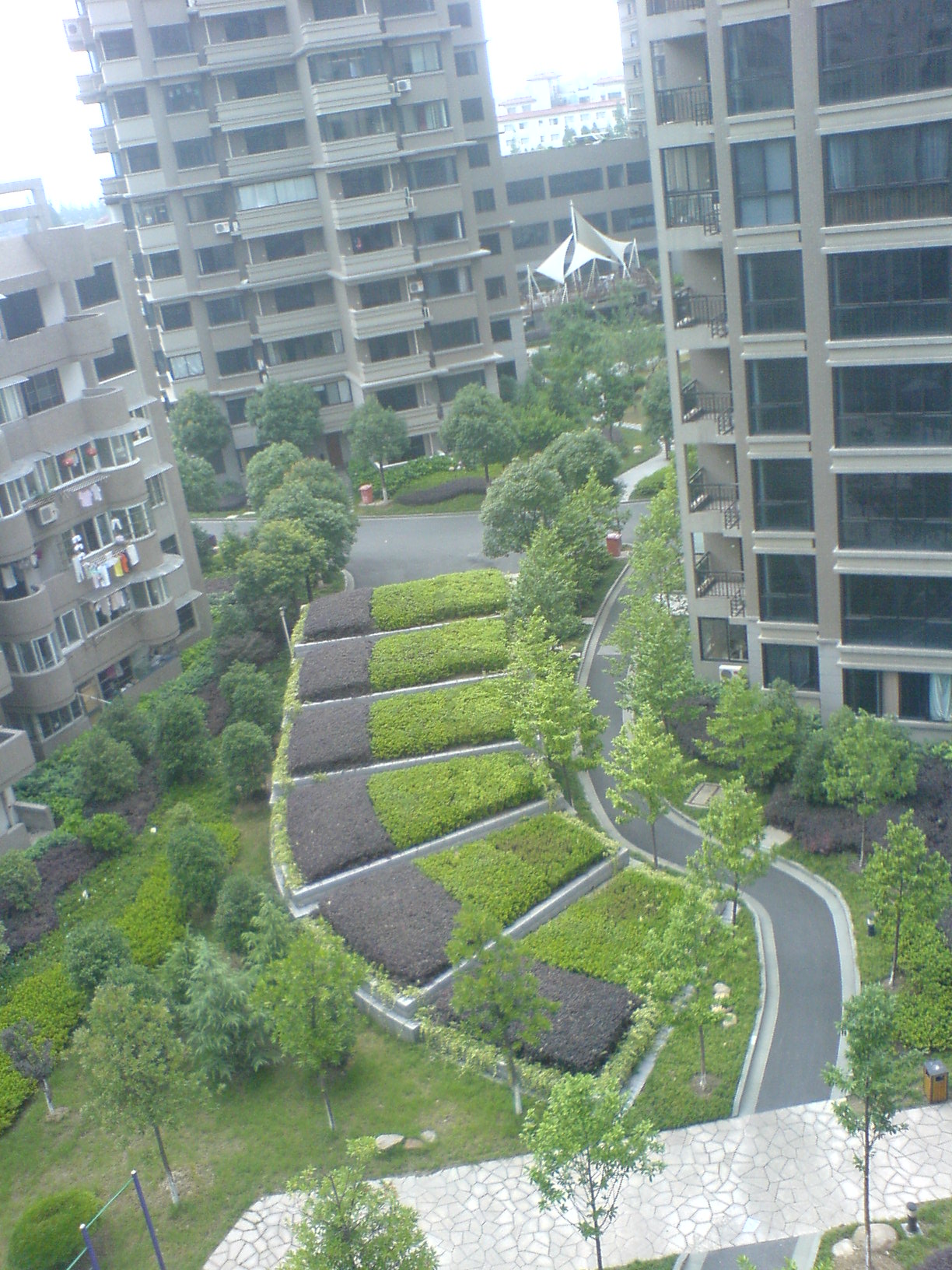 DSC00011.JPG