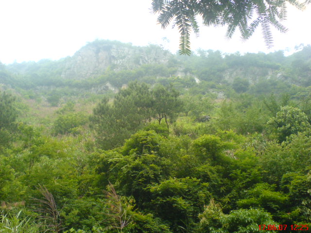 DSC00761.JPG