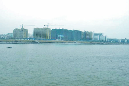 齭.jpg