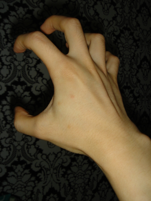 DSC06373.JPG