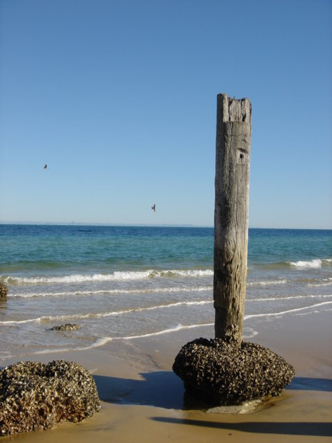 DSC00479.JPG
